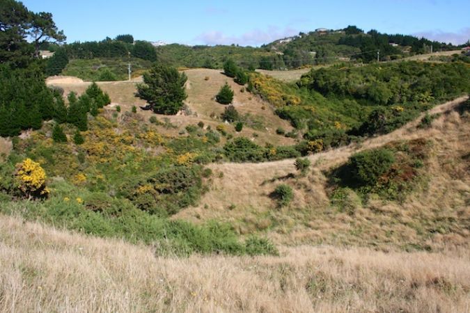  at 0 Liverton Rd, Kelson, Lower Hutt