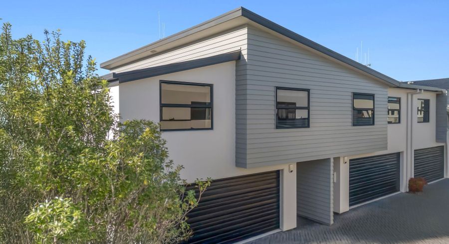  at 54E Willoughby Street, Whitiora, Hamilton, Waikato