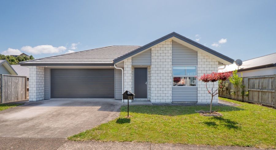  at 123 Whakaturou Crescent, Pyes Pa, Tauranga