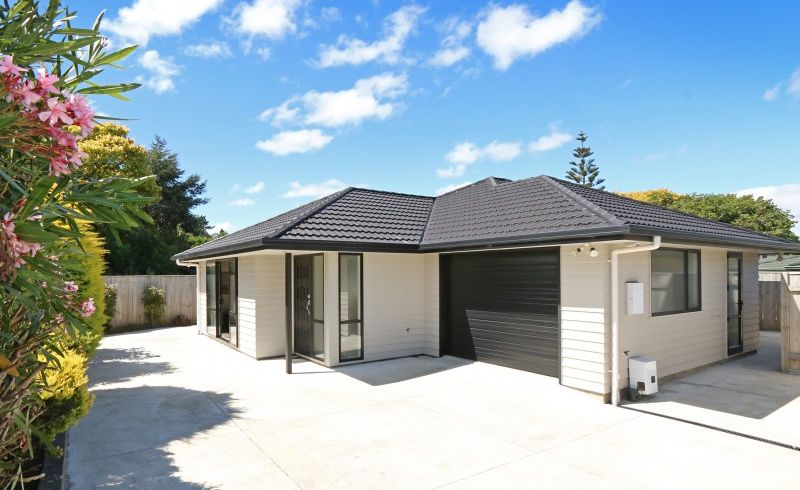  at 451 Ruahine Street, Terrace End, Palmerston North