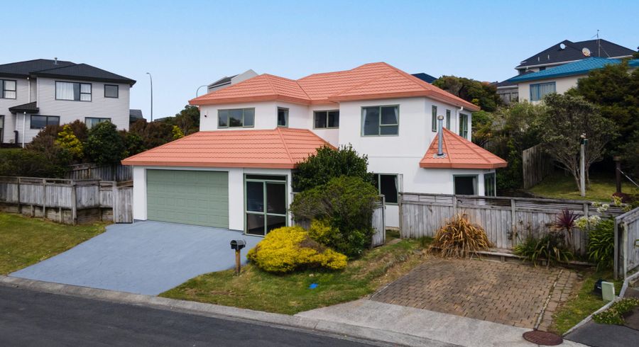  at 3 Morpeth Street, Johnsonville, Wellington, Wellington