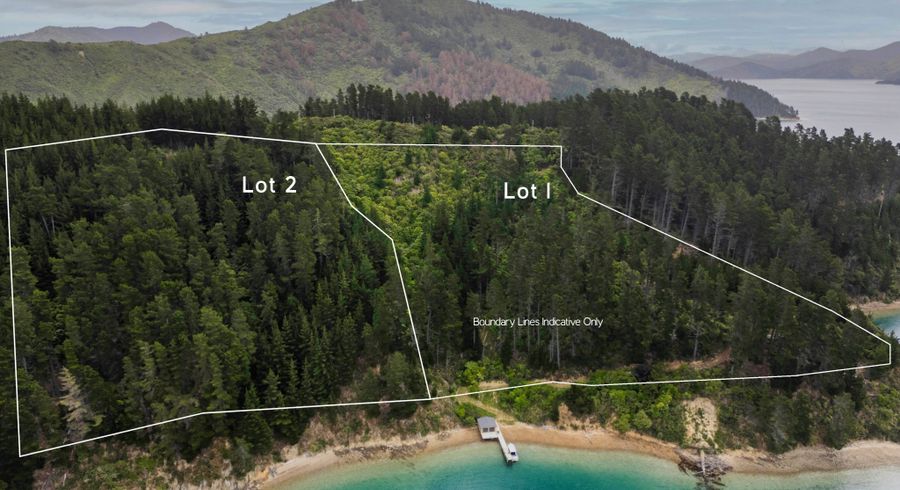  at Lots 1 & 2, 0 Ahitarakihi Bay, Queen Charlotte Sounds, Marlborough, Marlborough