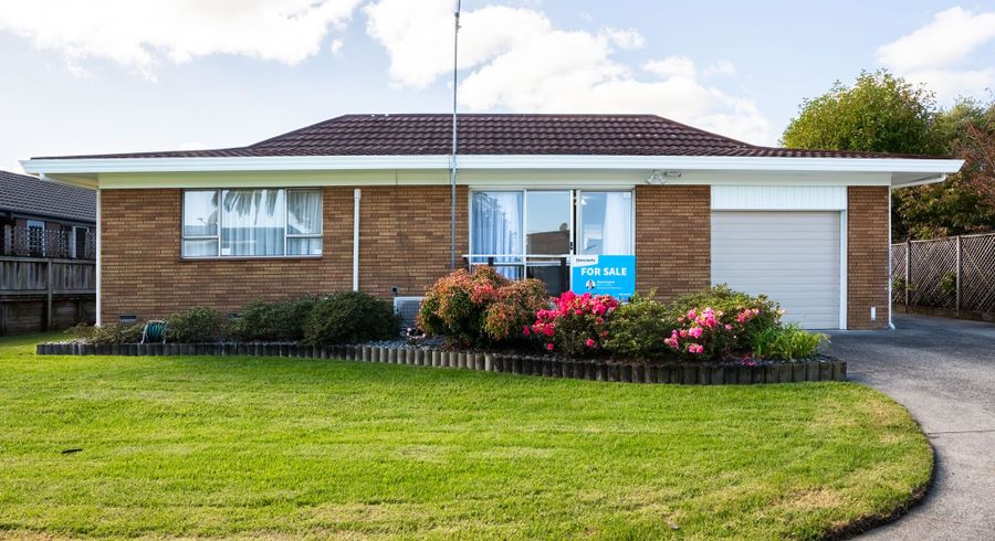  at 143 Maeroa Road, Maeroa, Hamilton