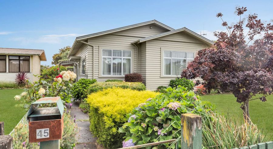  at 45 Miller Street, Dannevirke, Dannevirke