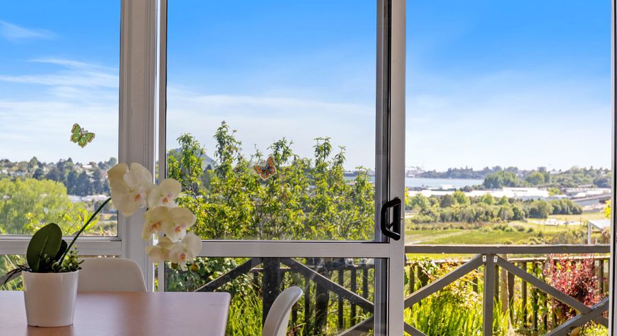  at 23 Murray Street, Gate Pa, Tauranga, Bay Of Plenty
