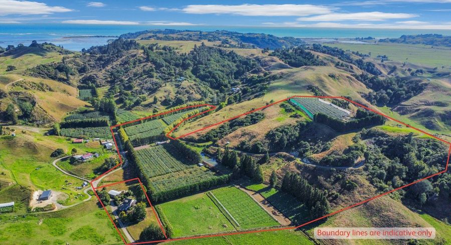  at 443C and 443 State Highway 2, Opotiki, Opotiki, Bay Of Plenty