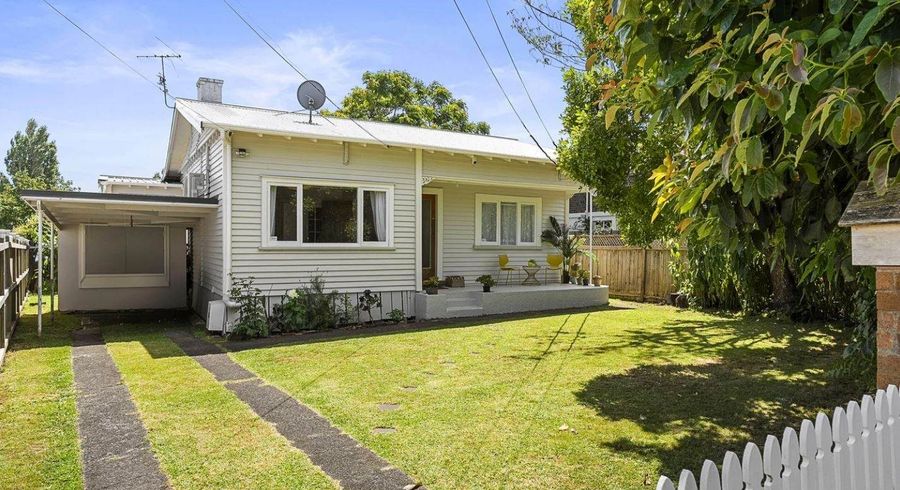  at 17 Preston Avenue, Mount Albert, Auckland City, Auckland
