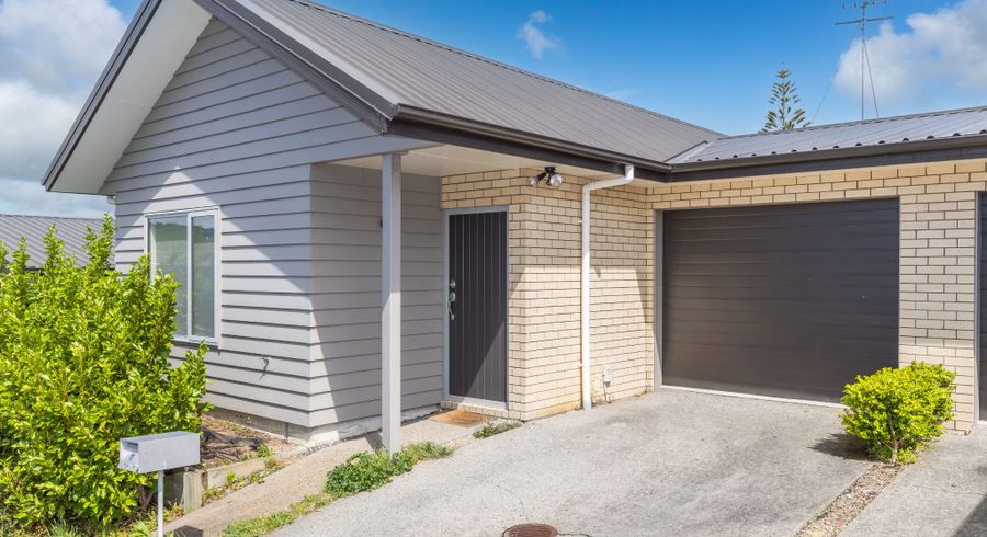  at 17 Taotahi Avenue, Dinsdale, Hamilton