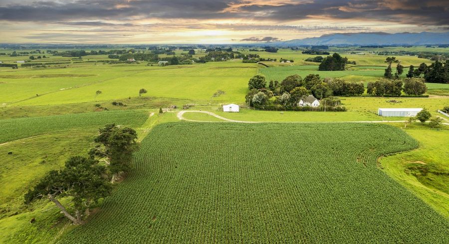  at 0 Koputaroa Road, Koputaroa, Shannon