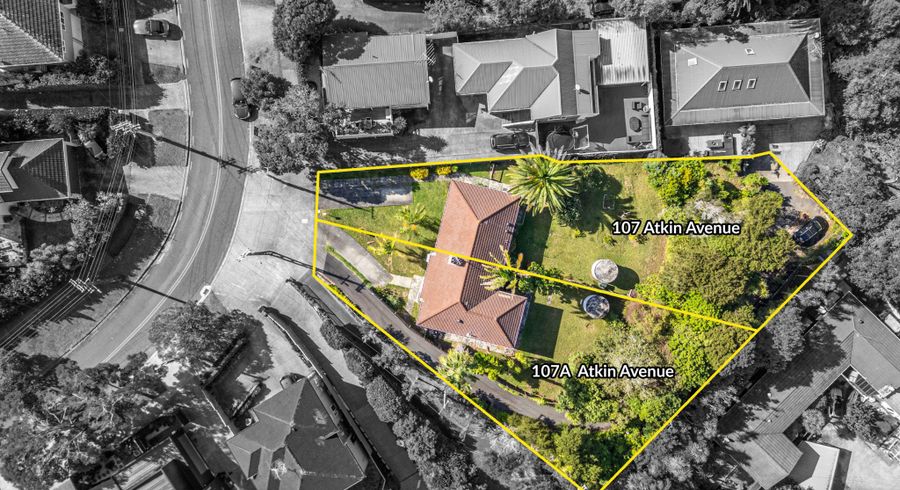  at 107 & 107A Atkin Avenue, Mission Bay, Auckland City, Auckland