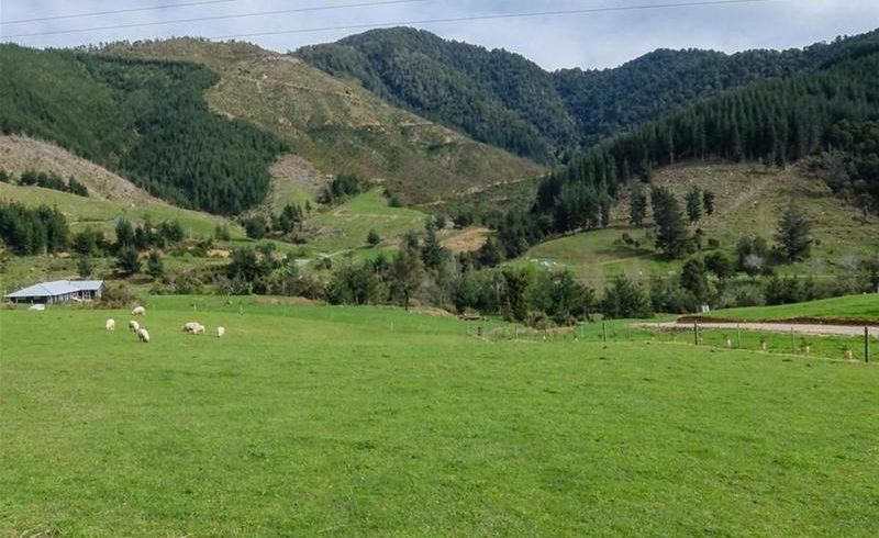  at 532 Wakamarina Road, Wakamarina