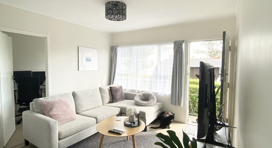  at 3/17 Burch Street, Mount Albert, Auckland City, Auckland