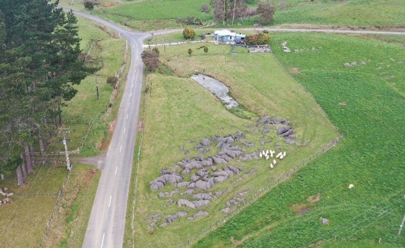 Free property data for 1107 Mairoa Road, Mangaotaki, Piopio - homes.co.nz