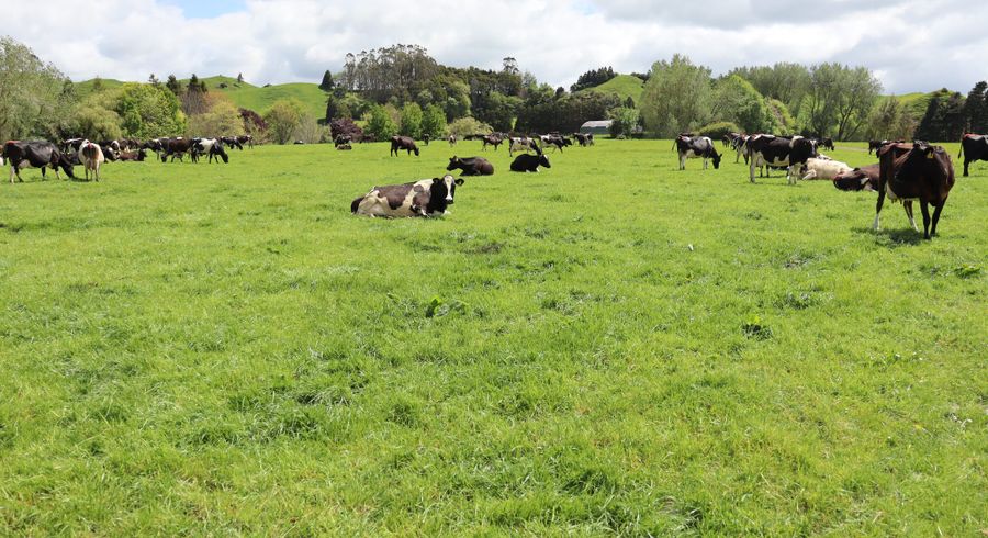  at 734 Bird Road, Stratford, Stratford, Taranaki