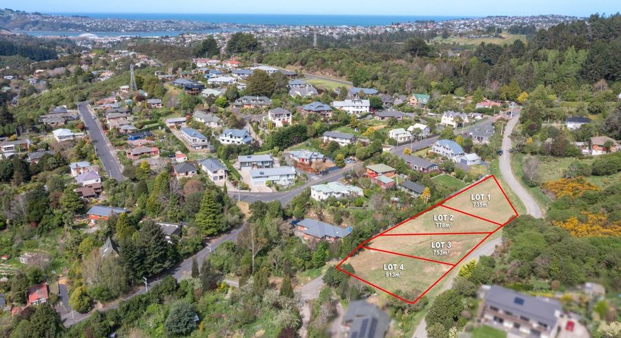  at 9 Islay Street, Glenleith, Dunedin, Otago
