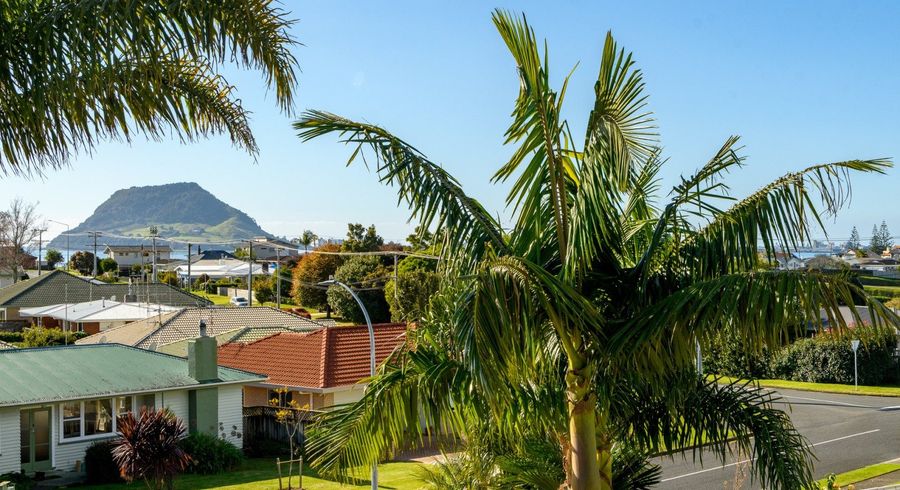  at 65 Freyberg Street, Otumoetai, Tauranga, Bay Of Plenty