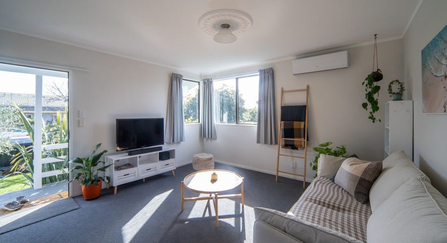  at 45 Alison, Hamilton Lake, Hamilton, Waikato