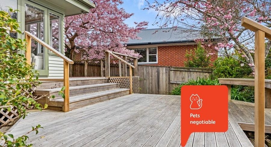  at 42 Clifton Terrace, Fitzherbert, Palmerston North
