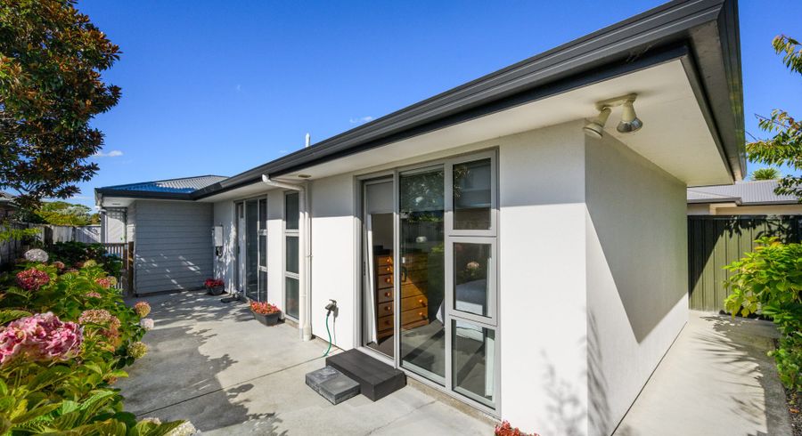  at 65B Albert Street, Palmerston North, Palmerston North