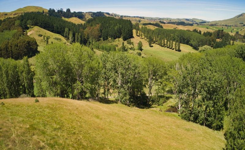  at 567 Maraetotara Road, Maraetotara, Waimārama