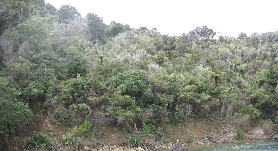 at 0 Picnic Bay, Waiona Bay, French Pass