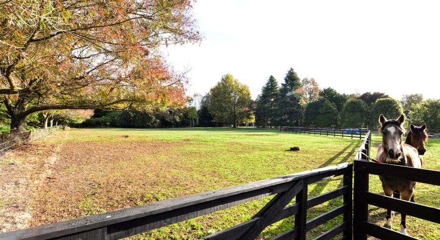  at 85A Windmill Road, Tamahere, Waikato, Waikato