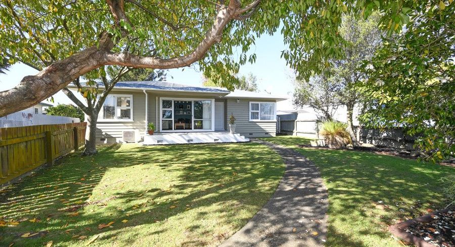  at 17 Henley Crescent, Pirimai, Napier