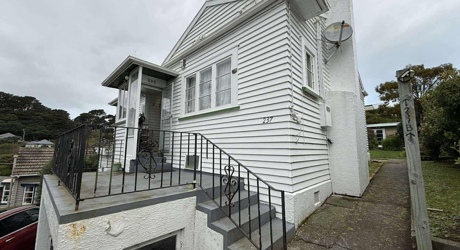  at 237 Rintoul Street, Berhampore, Wellington, Wellington