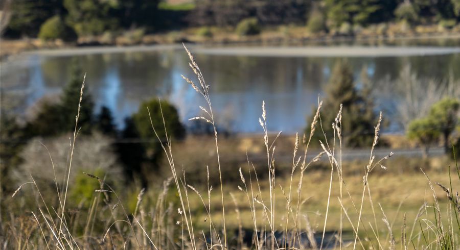  at 11 Seddon Street, Waikouaiti, Dunedin, Otago