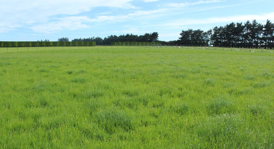  at 20 Kennington Roslyn Bush Road, Mill Road, Invercargill