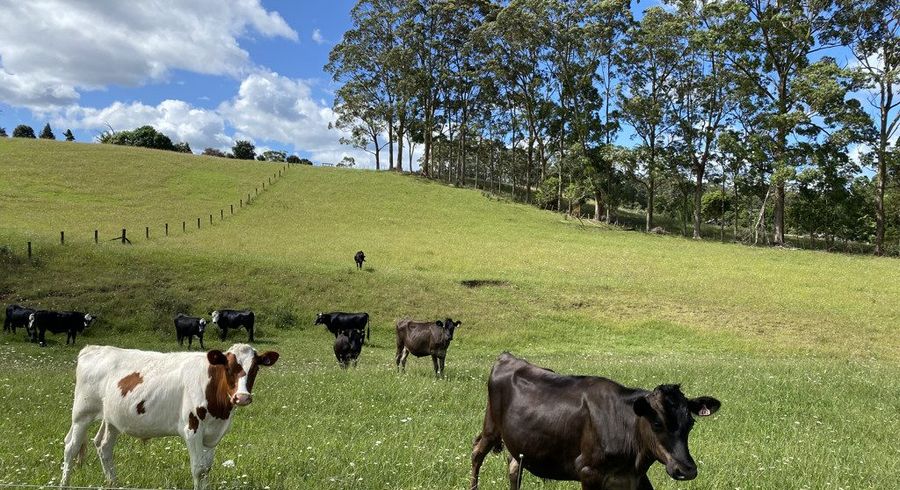  at 105 (Lot 3)Pungaere Road, Kerikeri, Far North, Northland