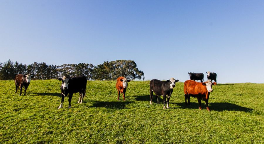  at 616 Muhunoa West Road, Ohau, Horowhenua, Manawatu / Whanganui