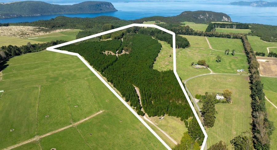  at 331 Kawakawa Road, Lake Taupo, Taupo, Waikato