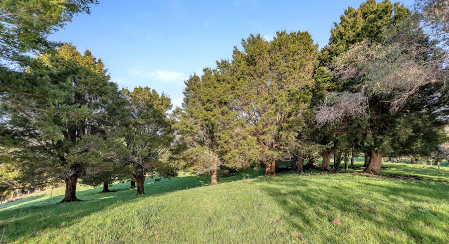  at 0 Mangapai Caves Road, Mangapai, Whangarei