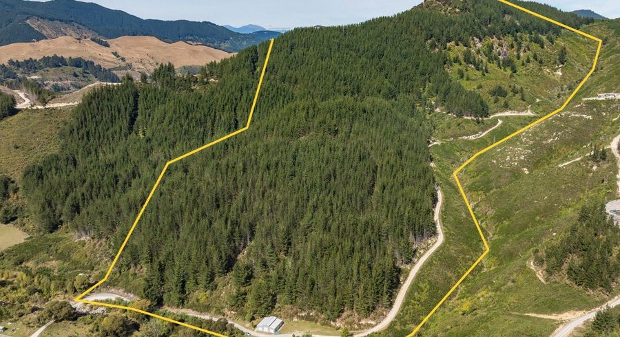  at 297 Graham Valley Road, Motueka, Tasman, Nelson / Tasman