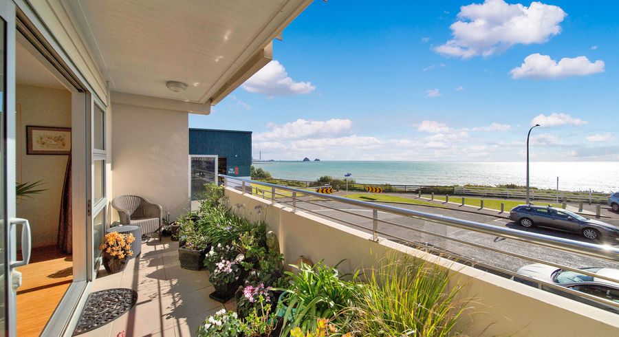  at 1/4 Buller Street, New Plymouth, New Plymouth
