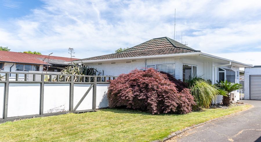  at 16 Morrow Avenue, St Andrews, Hamilton