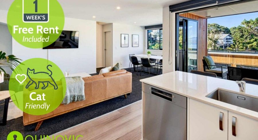  at 58 Rangiora Avenue, Wellington Central, Wellington, Wellington