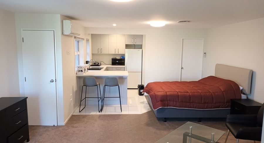  at 41A Lake Domain Drive, Frankton, Hamilton, Waikato