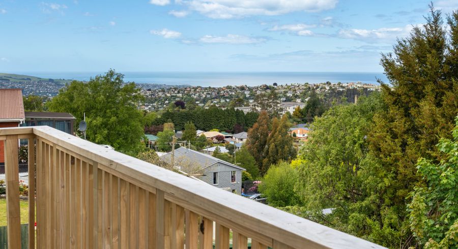  at 20 Salmond Street, Halfway Bush, Dunedin