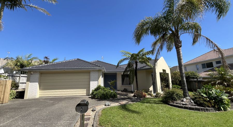  at 3 Larkin Place, Somerville, Manukau