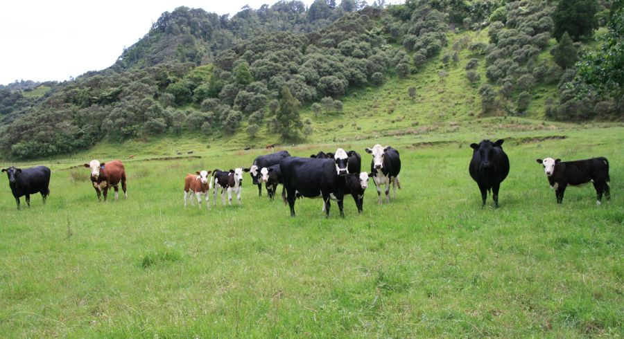  at 0n Mangaonga Road, Urenui, New Plymouth, Taranaki