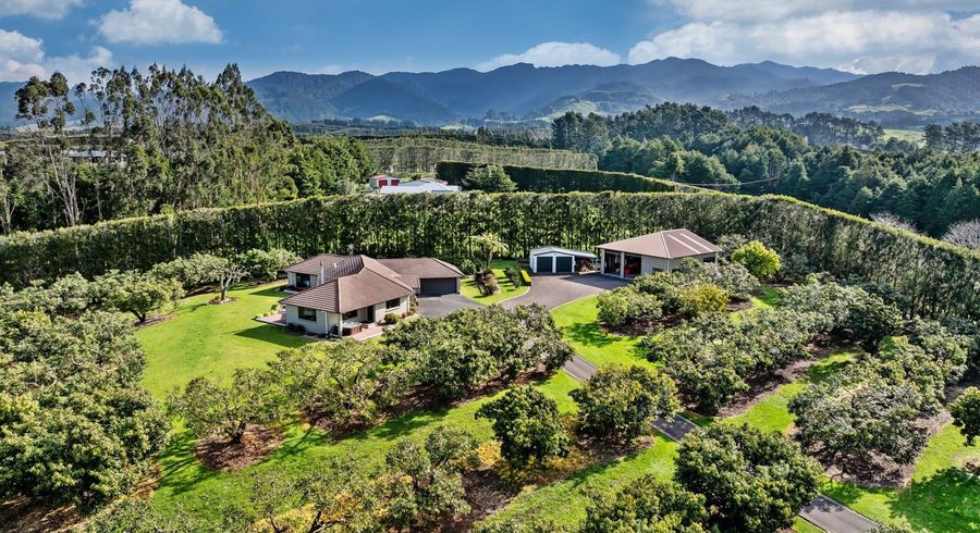  at 237B Busby Road, Katikati, Western Bay Of Plenty, Bay Of Plenty
