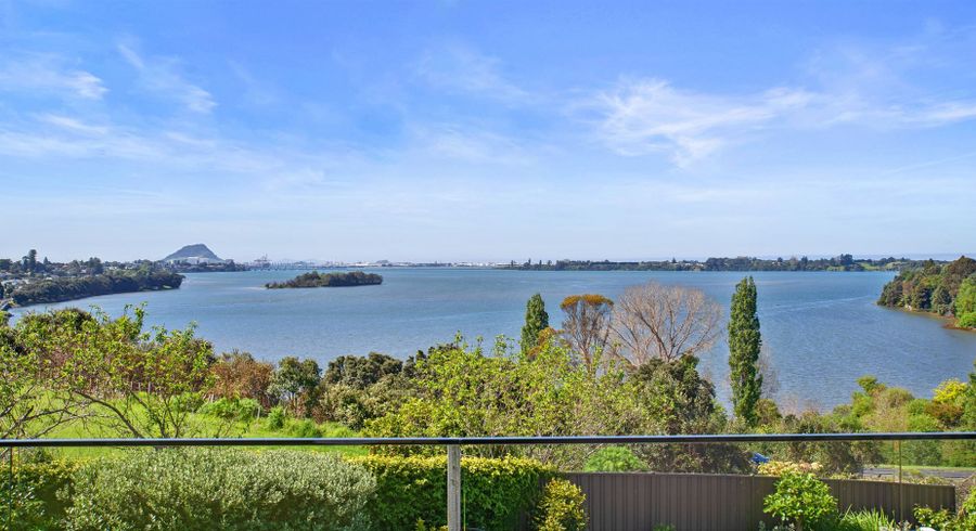  at 10 Taumata Place, Hairini, Tauranga