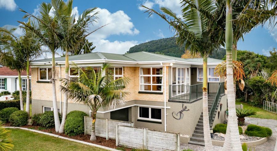  at 19 Tuhangi Street, Kamo, Whangarei