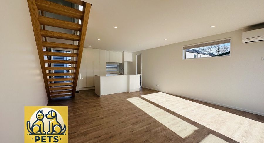  at 5/32 Ryan Street, Phillipstown, Christchurch City, Canterbury