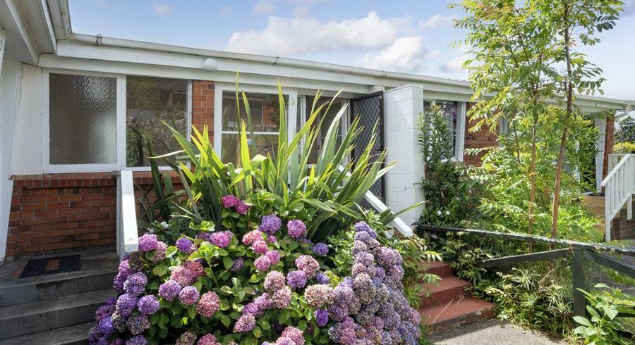  at 3/220a Church Street, Onehunga, Auckland City, Auckland