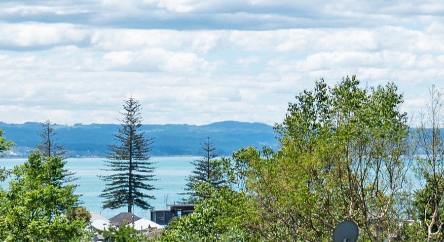  at 151 Milton Road, Bluff Hill, Napier, Hawke's Bay