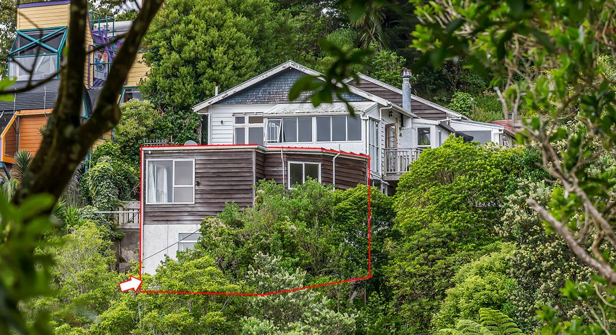  at 13A Koromiko Road, Aro Valley, Wellington