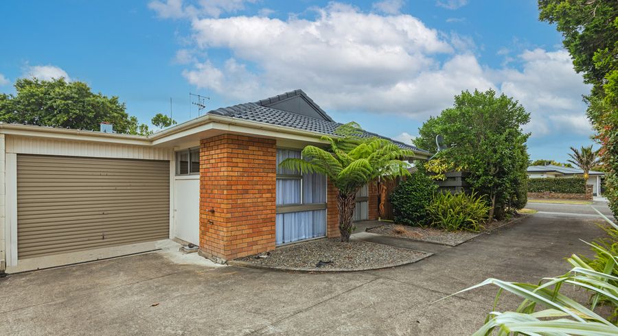  at 9 Brightwater Terrace, Terrace End, Palmerston North